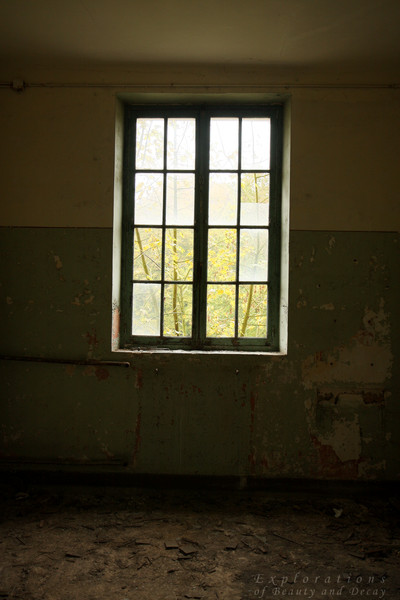 Fenster 4
