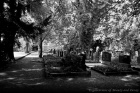 Jdischer Friedhof 1
