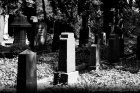 Jdischer Friedhof 2