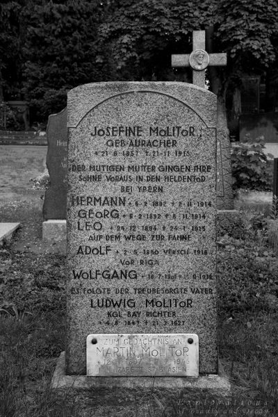 Josefine Molitor