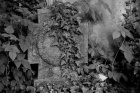 Grabkreuz mit Efeu
