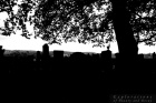 Friedhof Silhouette
