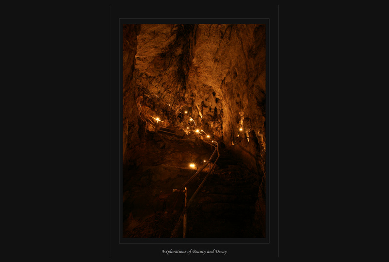 Rosenmüllerhöhle: Treppe