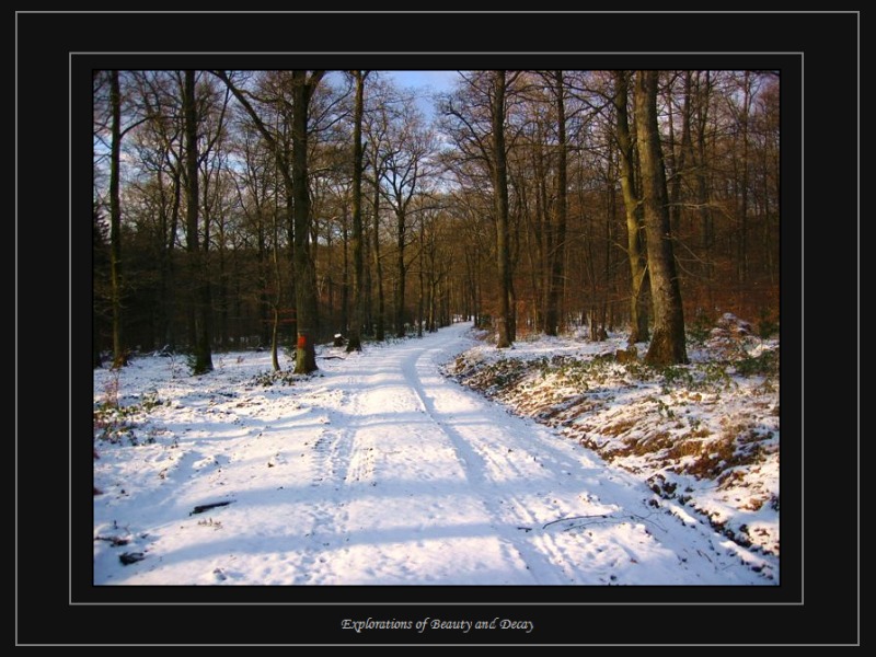 Britten - Hundscheid - Schwellenbach 005