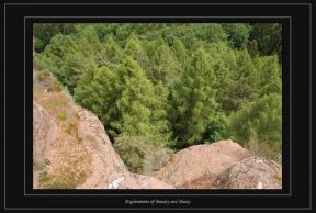Geocaching (Serrig - Kastel - Altfels) 061