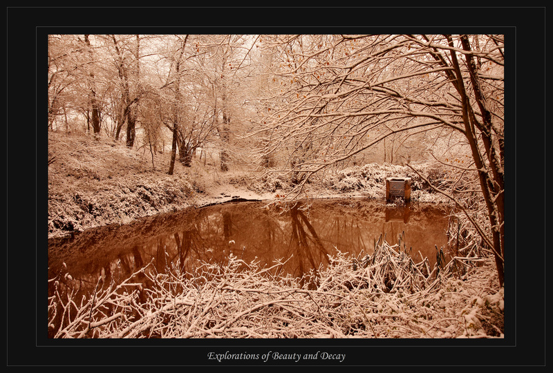 Blutroter Weiher