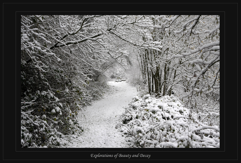 Schneeweg