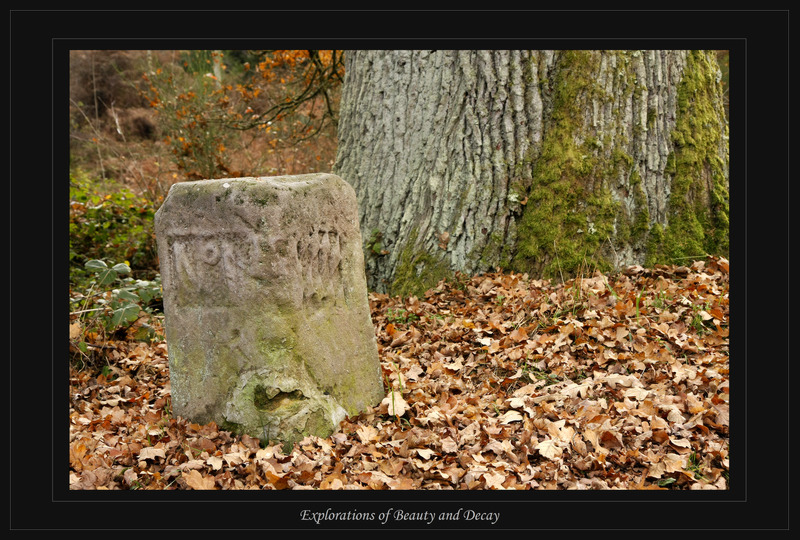 Verwitterter Grenzstein