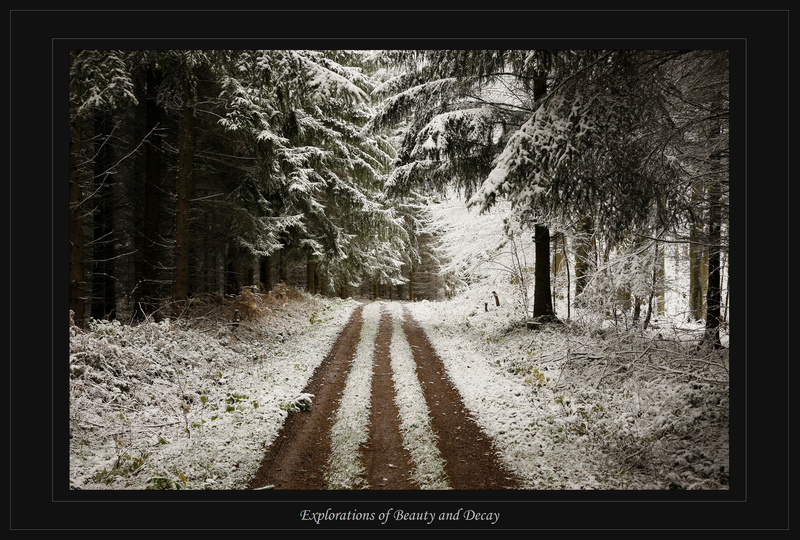 Winterlicher Waldweg