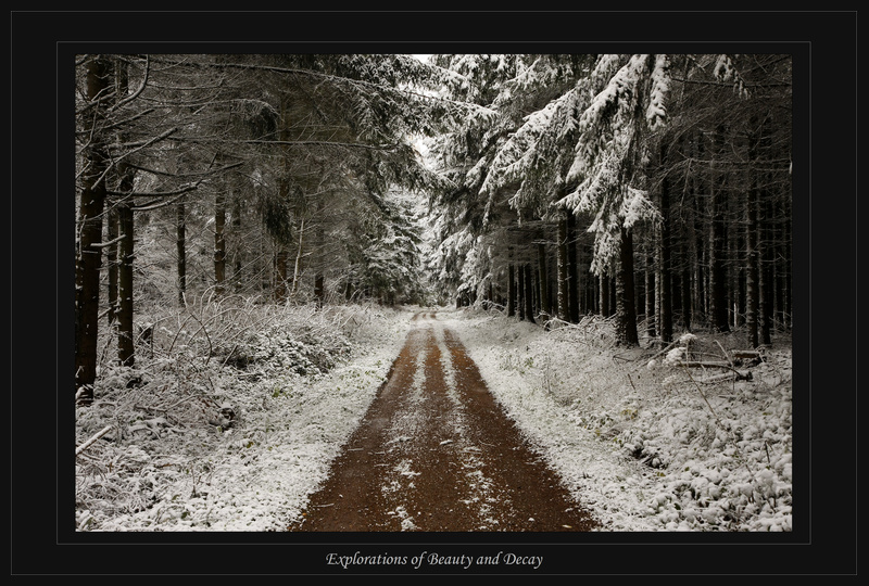 Winterweg