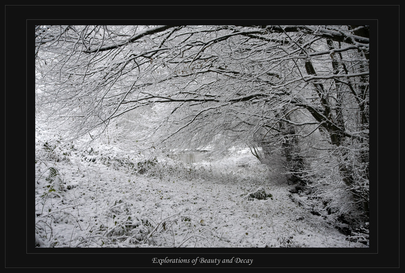 Winterweiher