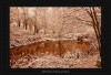 Blutroter Weiher (Thumbnail)