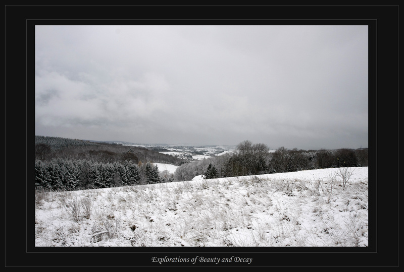 schneebedeckte Landschaft