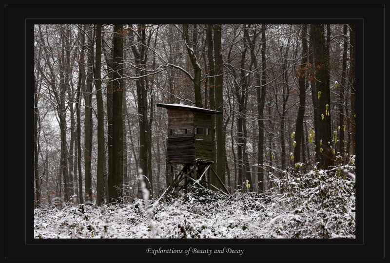 Hochsitz im Wald