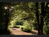 Steinhauerweg (Thumbnail)