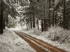 First Snow (Thumbnail)