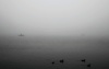 Angler im Nebel