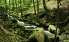 Wasserfall Foto: Kollesleuker Schweiz
