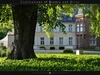 Baum Foto: Museum Schloss Fellenberg