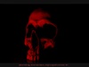 Totenschdel Foto: Red Skull