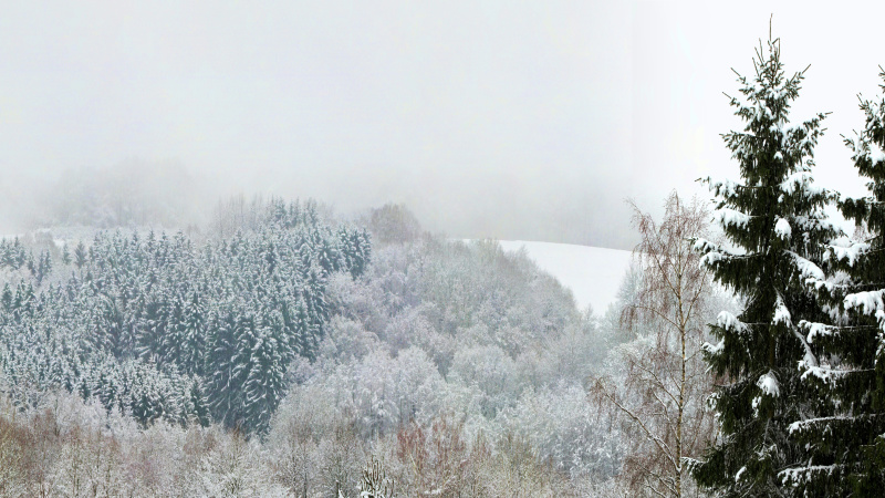 Saarland Winter Wonderland 8K