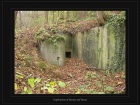 Verschtteter Bunker